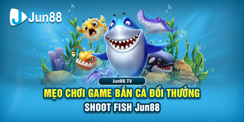 hello88bet tai game danh bai bigkool ve may tinh