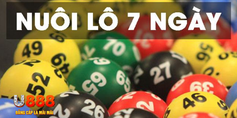 hello88bet ON Trực Tuyến
