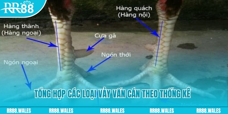 hello88bet nổ hũ chơi như thế nào