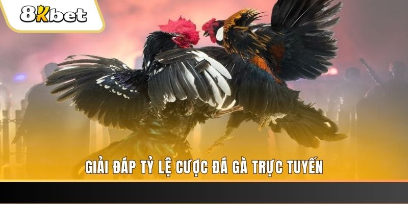hello88bet xổ số ba đài