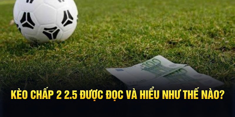 hello88bet đá gà thomo
