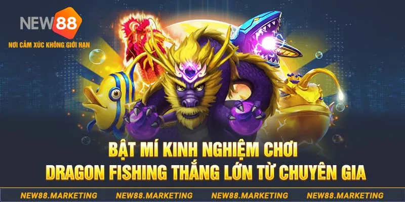 hello88bet who wants to be a millionaire slot